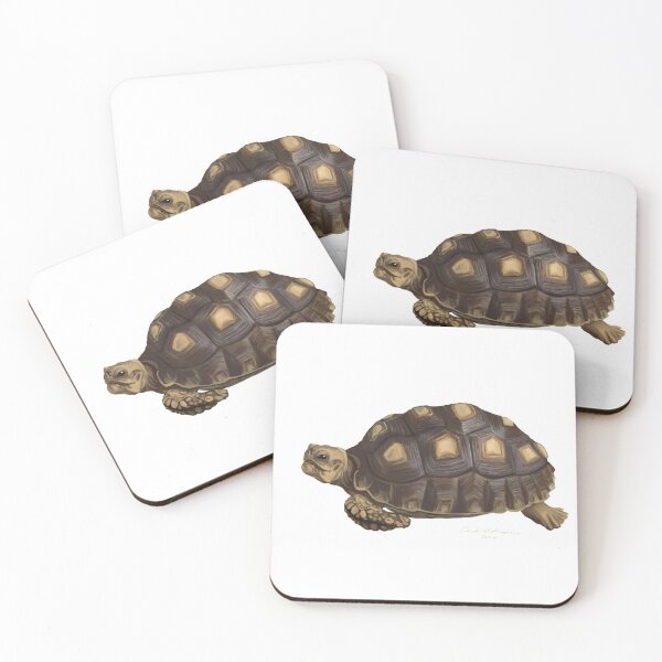 Item preview, Tortoise  designed and sold by Candie Witherspoon.