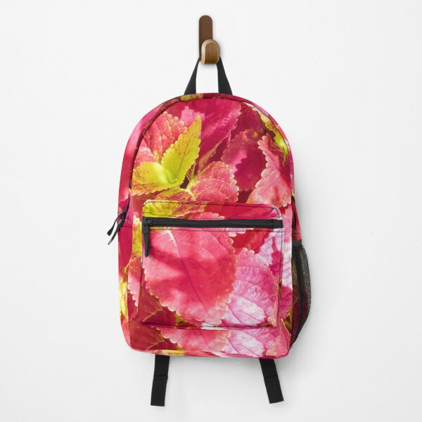 Item preview, Coleus designed and sold by Zina Stromberg.