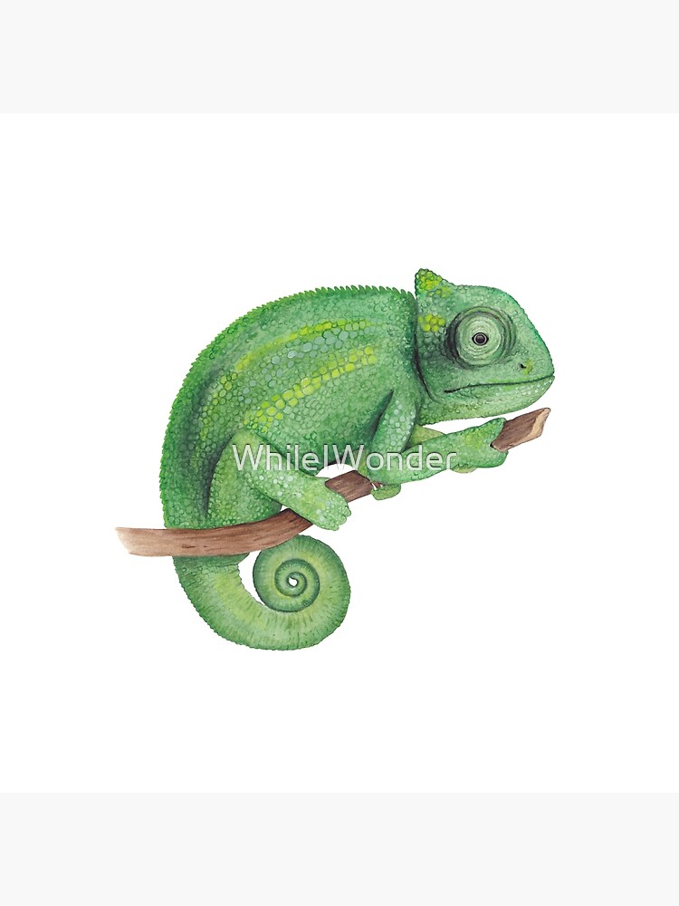 Green chameleon print by Editors Choice