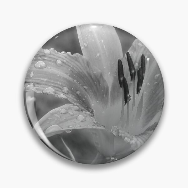 Item preview, Orange Lily in Black and White designed and sold by StampCity.
