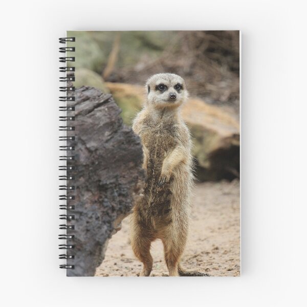 Item preview, Meerkat designed and sold by tdierikx.