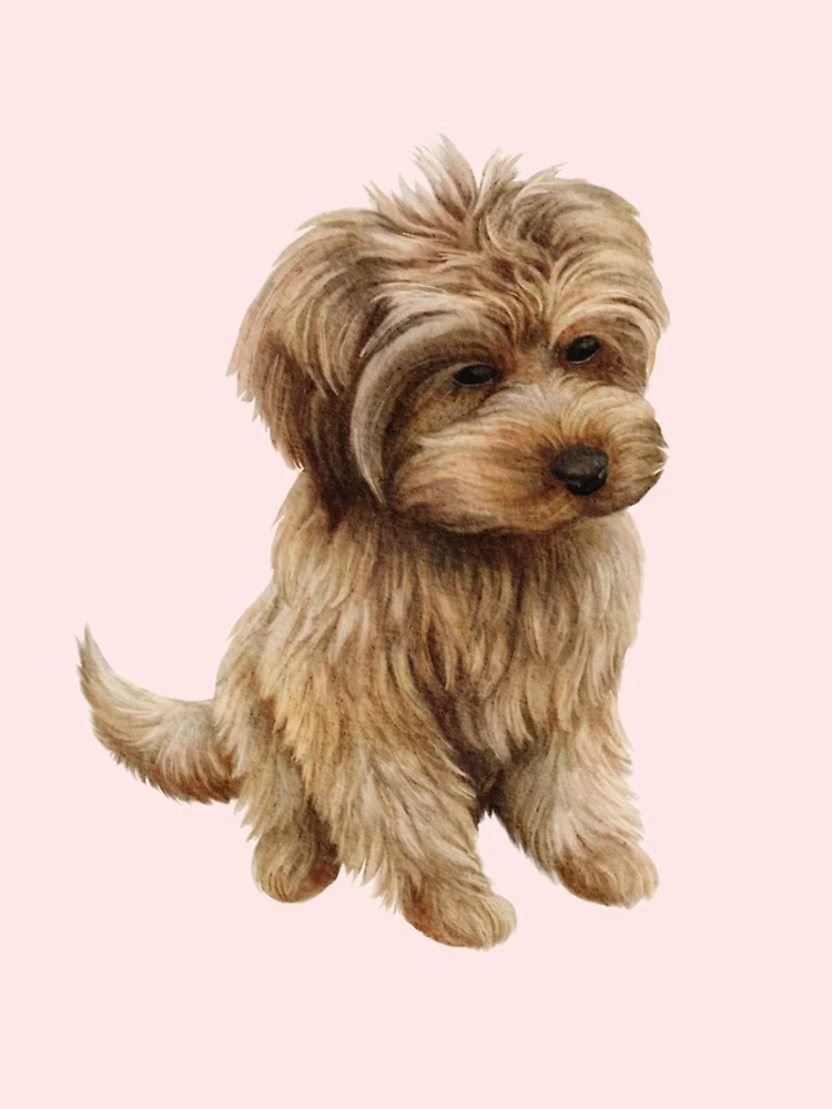 Thumbnail 4 of 4, iPhone Case, Cavapoo designed and sold by Rubymcc.
