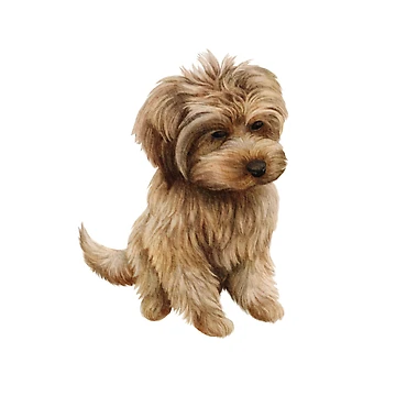 Artwork thumbnail, Cavapoo by Rubymcc
