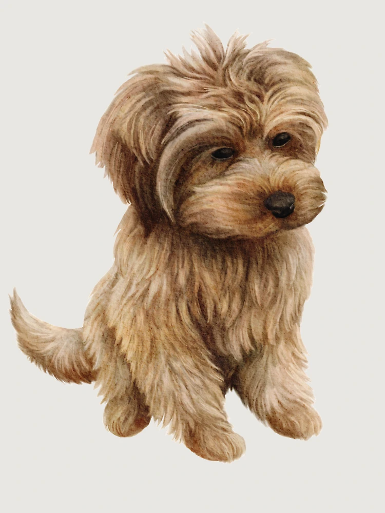 Thumbnail 6 of 6, Premium Oversized Hoodie, Cavapoo designed and sold by Rubymcc.