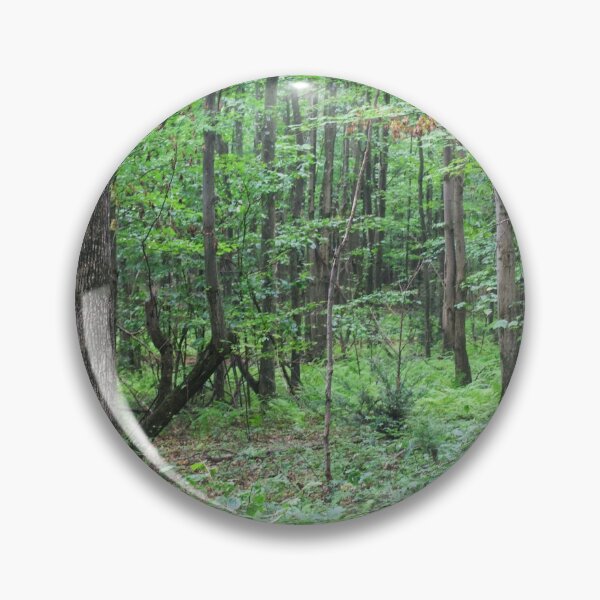 Show Me The Way Pin