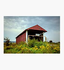 Hay Fever at the Hayes Covered Bridge Photographic Print