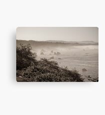 california ocean Canvas Print