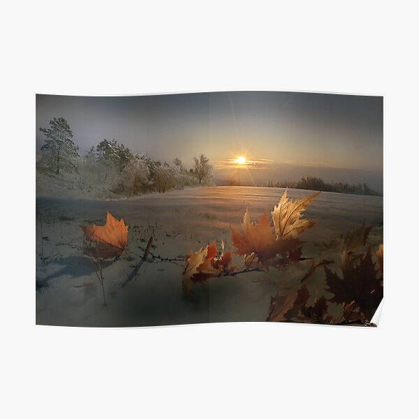Winter Sun Poster
