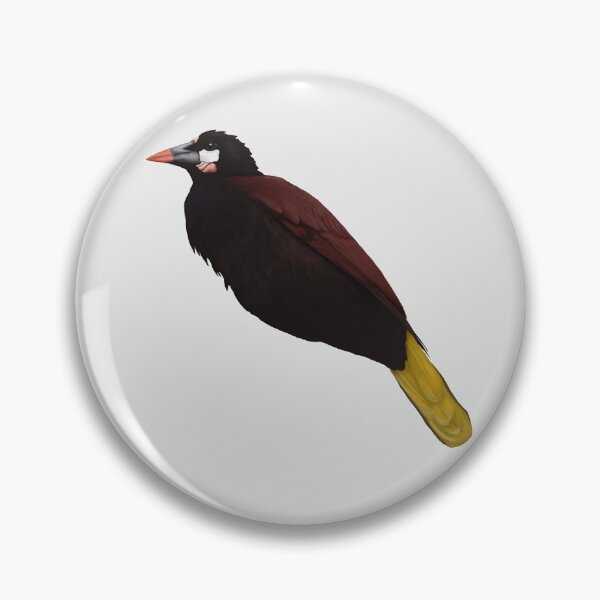 Item preview, Oropendola designed and sold by Mayakiwi.
