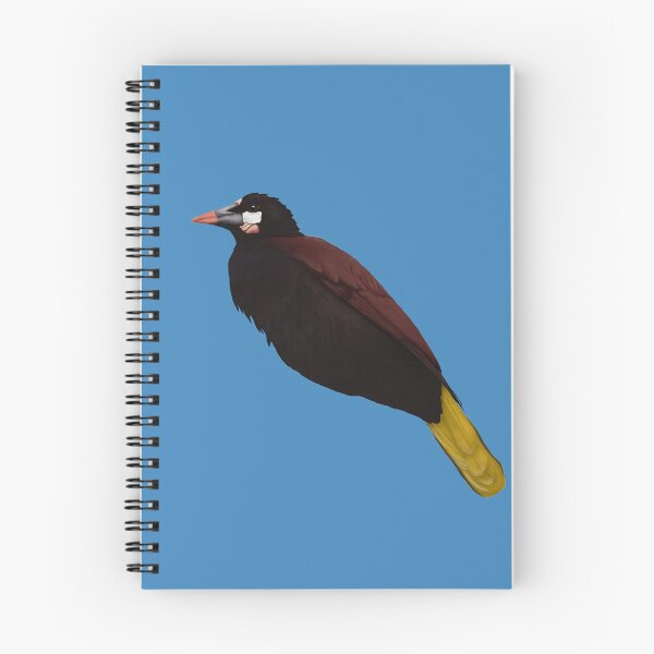 Item preview, Oropendola designed and sold by Mayakiwi.