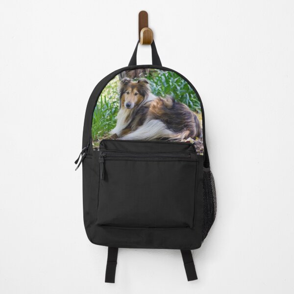Item preview, Sweet Collie designed and sold by KarenWoodArt.
