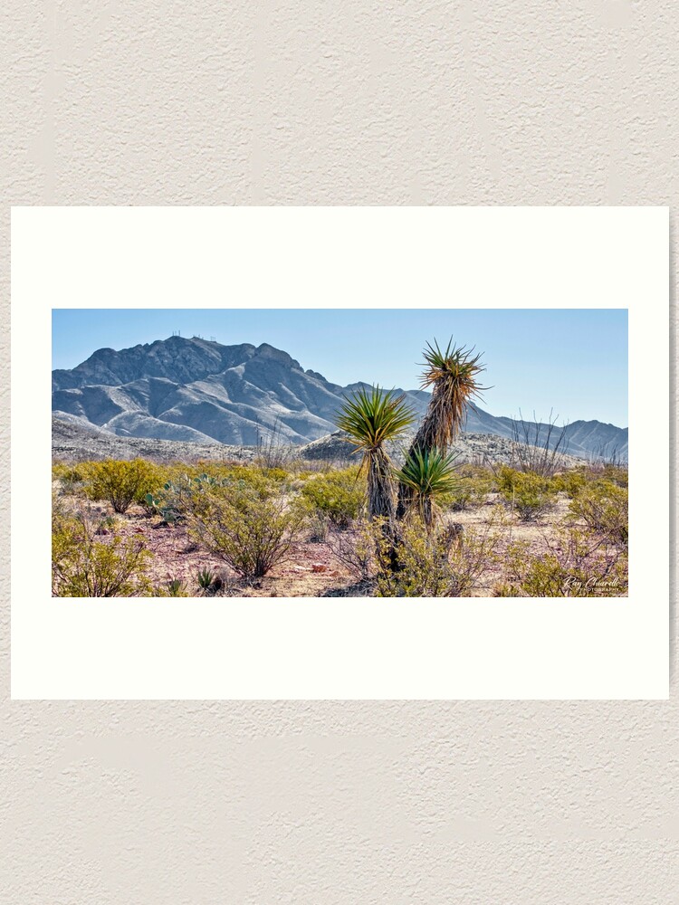 "El Paso, Texas Landscape" Art Print by rchiarello Redbubble