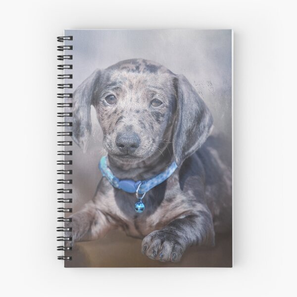 Item preview, Dapple Dachshund designed and sold by Elisabeth Lucas.
