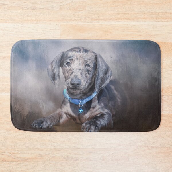 Item preview, Dapple Dachshund designed and sold by Elisabeth Lucas.
