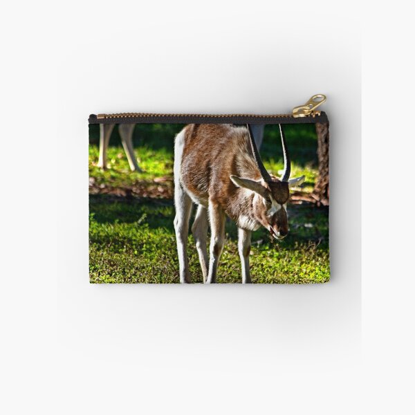Item preview, Youngster Addax designed and sold by miroslava.