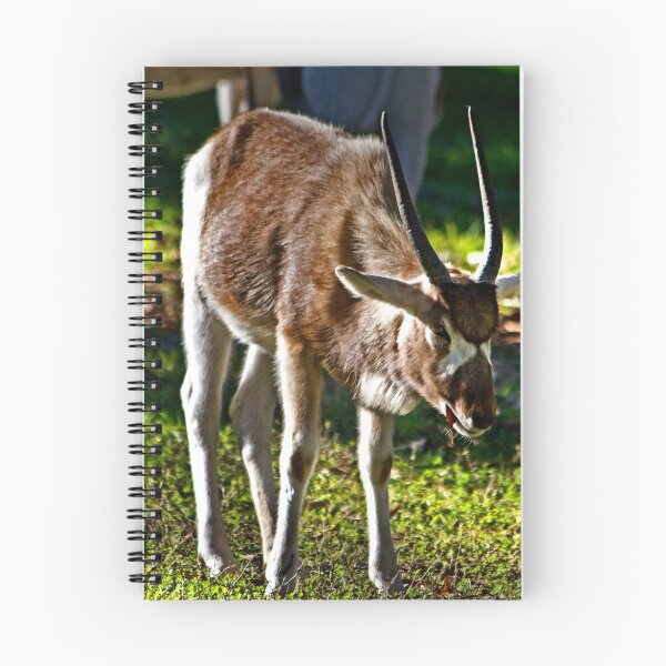 Item preview, Youngster Addax designed and sold by miroslava.