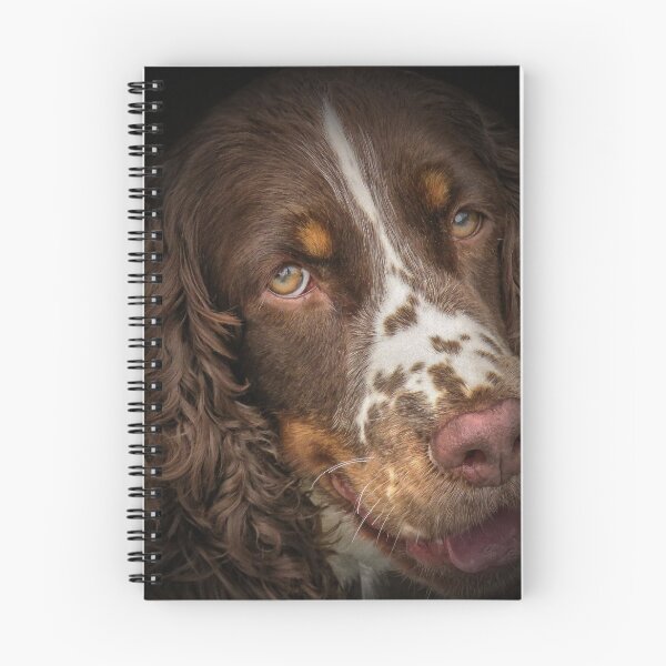 Item preview,  reina de todo lo que encuesta! designed and sold by wallarooimages.