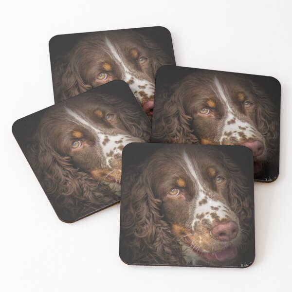Item preview, Flame the Springer Spaniel designed and sold by wallarooimages.