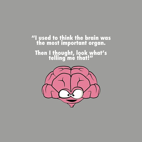 Funny Brain Jokes