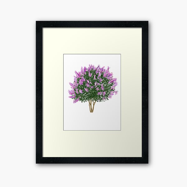 Item preview, Crape Myrtle designed and sold by JCBdesigns.