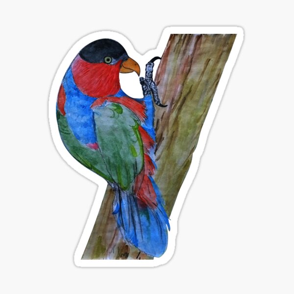 Vista previa del artículo con la obra «Black Capped Lory in Watercolor», diseñado y vendido por Charles Roring.