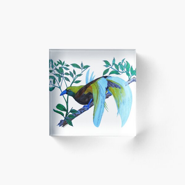 Acrylic Block
