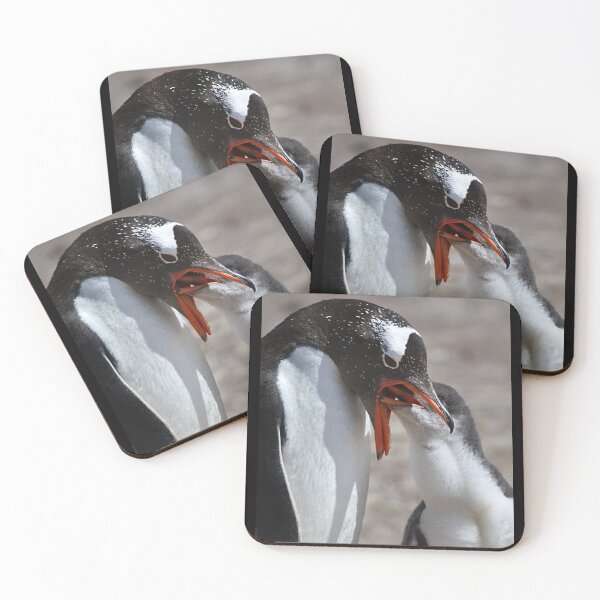 Item preview, Gentoo Chick Feeding designed and sold by Carole-Anne.