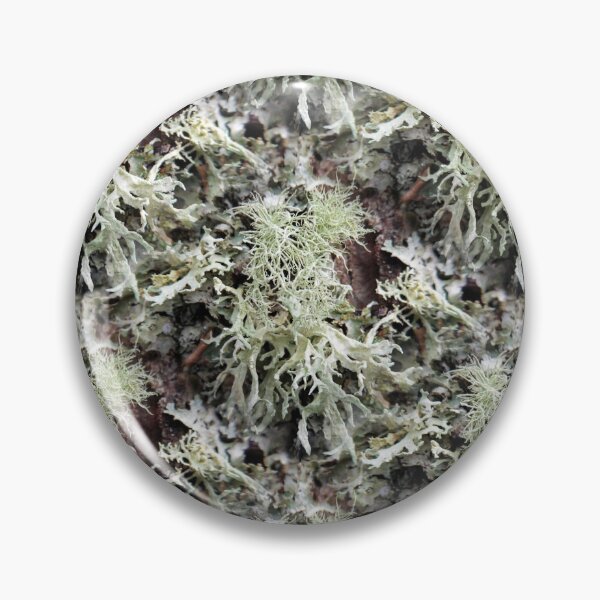 Item preview, Evernia Prunastri and Friends (pattern) designed and sold by Yampimon.
