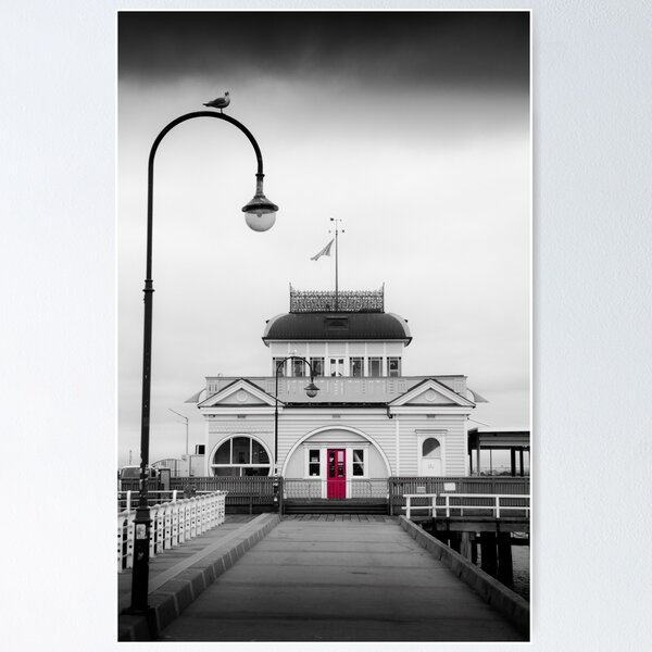 Item preview, The Seagull & the red biscuit designed and sold by DavidToolan.