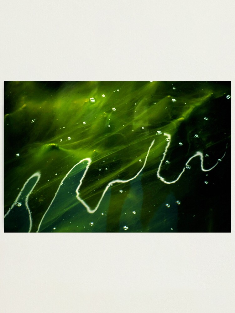 Alternate view of Green Algae and Water Photographic Print