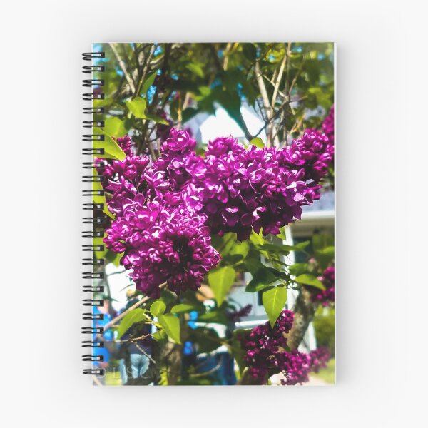 Item preview, Lilac on Mackinac designed and sold by camteng.