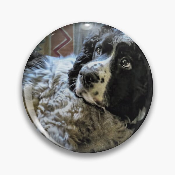 Item preview, Hunter The Sprocker designed and sold by wallarooimages.