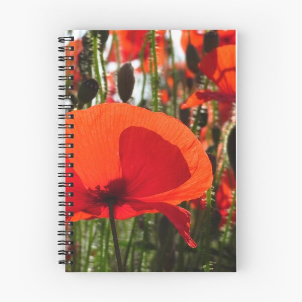 Item preview, Translucent Poppy designed and sold by wiggyofipswich.