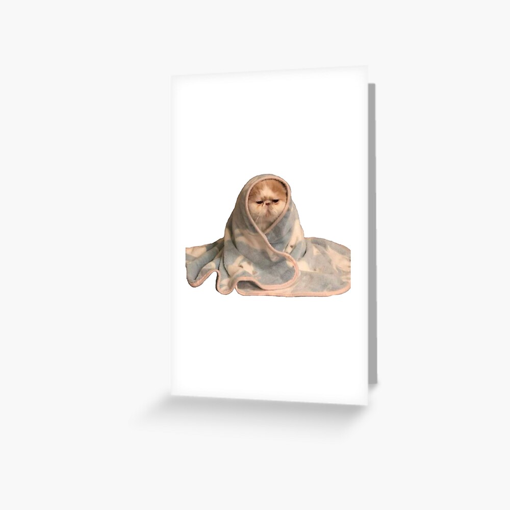 "Sad cat in blanket meme" Greeting Card for Sale by angelslover Redbubble