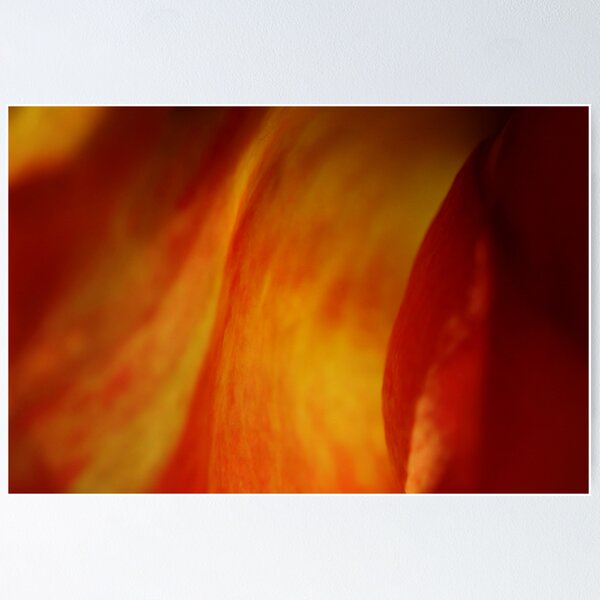 Item preview, The Rose - Part 9 designed and sold by Ronny Falkenstein.