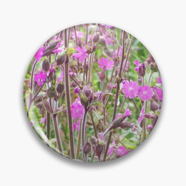 Item preview, Pink pitch flowers designed and sold by Boscastle.