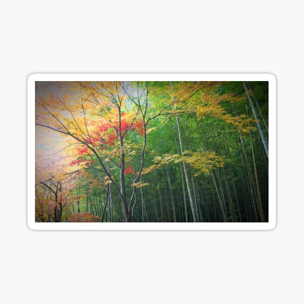 Kyoto Colours Sticker