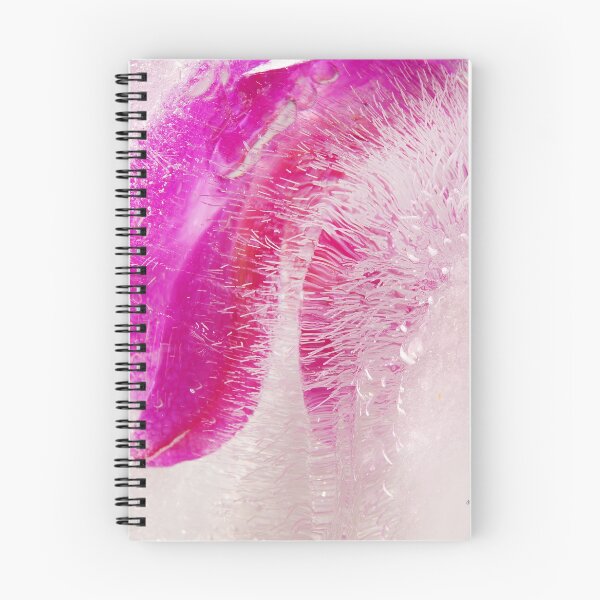 Aperçu de l'œuvre Rose congelé créée et vendue par Randi Grace Nilsberg.