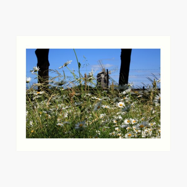 than lying in the grass on a summer meadow. Art Print