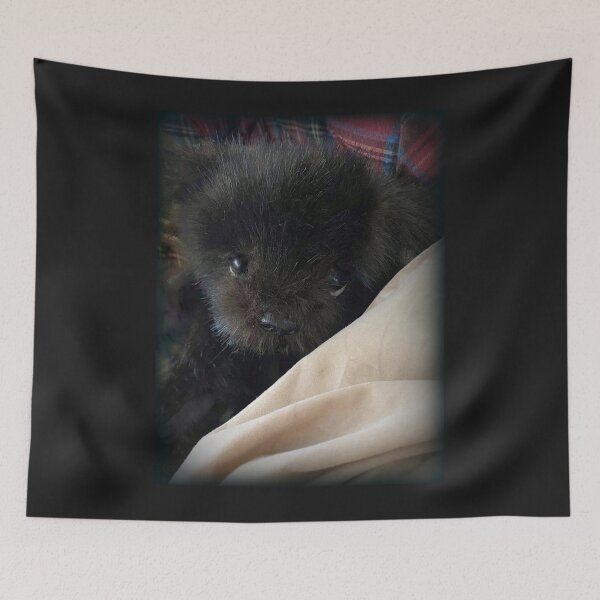 Item preview, Handmade bears from Teddy Bear Orphans - Sleepy Kieran designed and sold by Teddy Bear Orphans .