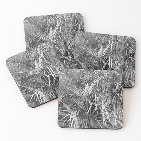Item preview, Fan Palm Fronds Greyscale Abstract Monotone Photography designed and sold by taiche.