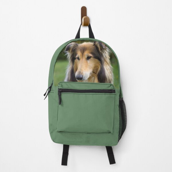 Item preview, Collie Focus designed and sold by KarenWoodArt.