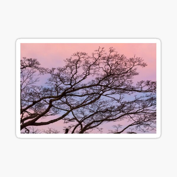 Japan Sticker
