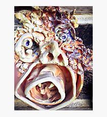 Mr. Piggy Photographic Print