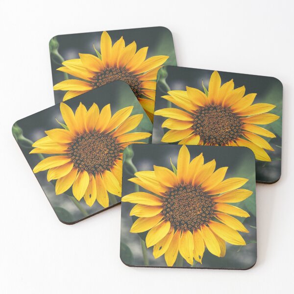 Item preview, Sunflower nature view gift designed and sold by Catana Design.