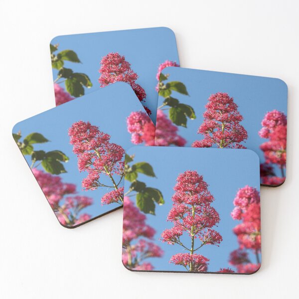 Item preview, Red valerian designed and sold by GreyFeatherPhot.