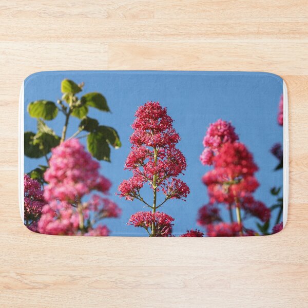 Item preview, Red valerian designed and sold by GreyFeatherPhot.