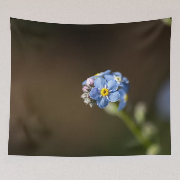 Item preview, Forget Me Not In Cluster designed and sold by Joy Watson - Natural Light Photography .