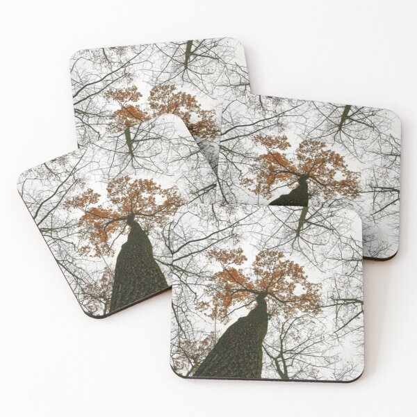 Item preview, Black Trees Orange Leaves Silhouette White Sky designed and sold by FortuneTee.