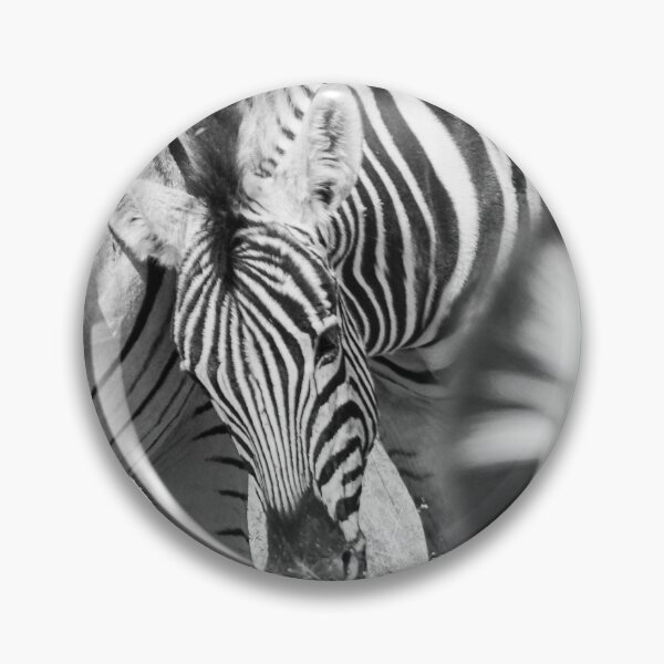 Item preview, Zebra herd oblong black and white stripe full frame. designed and sold by Brian Scantlebury.